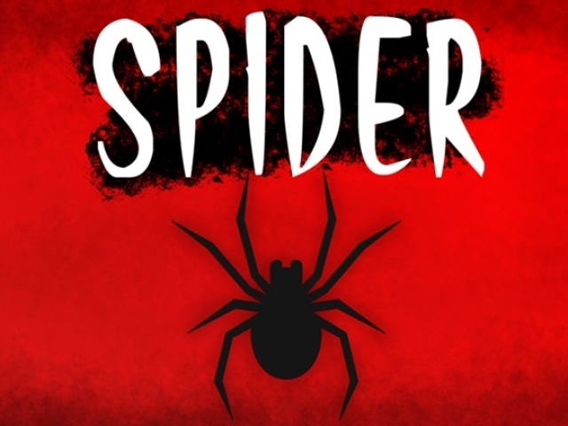 SPIDER :(