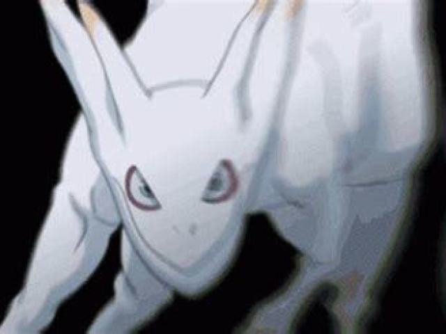 Kokuo (5 caudas)