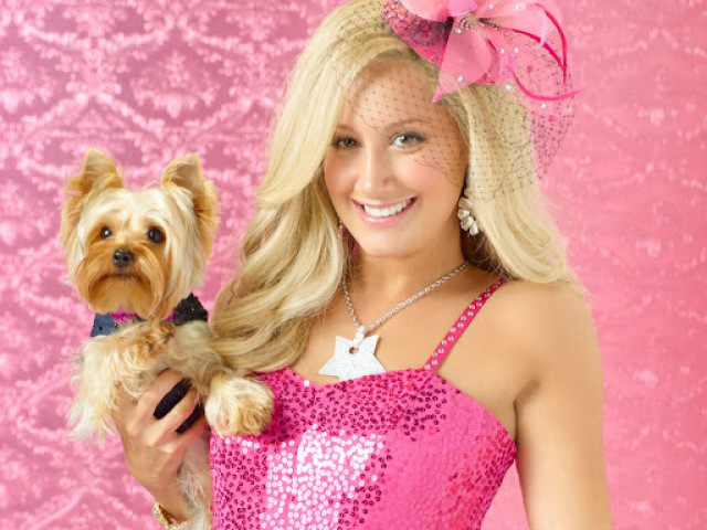 Sharpey Evans