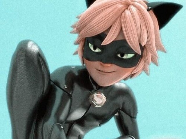 Cat Noir