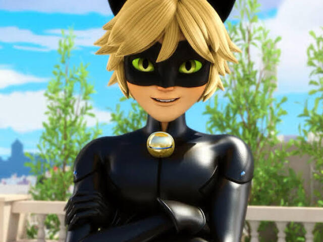 Cat Noir