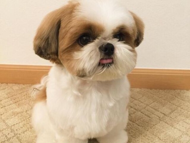 ๐ฅ