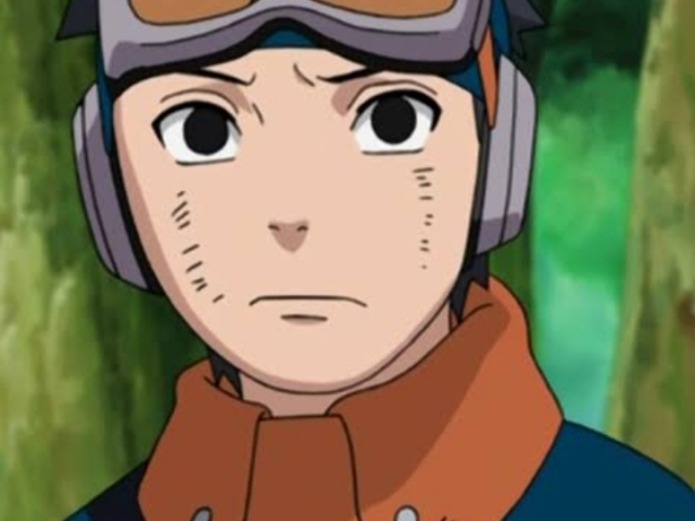 Animas