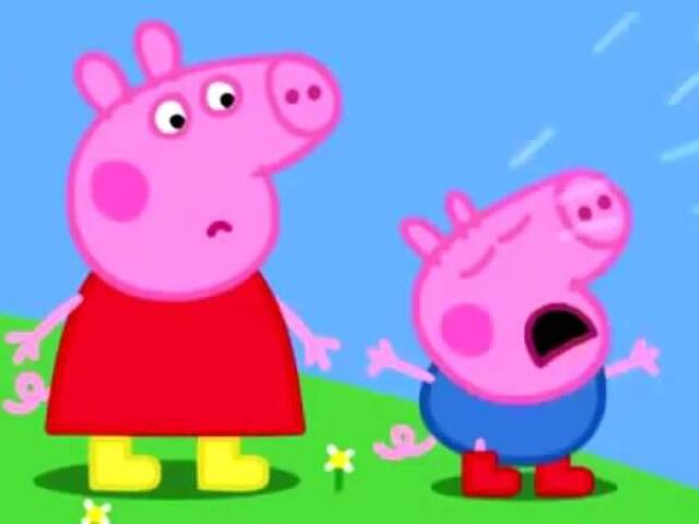 O geoge amou o quanto você é fã deles🐷