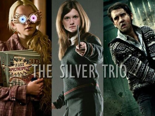 Harry Potter: Qual é o seu/sua personagem preferido(a) do Trio de Prata? Vou tentar adivinhar!