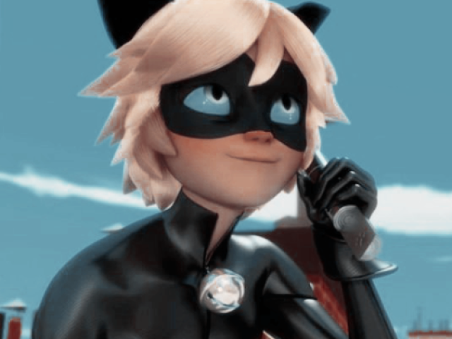 Cat Noir