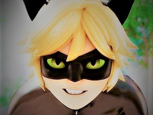 Cat Noir