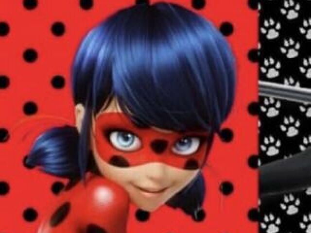 Ladybug