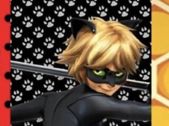 Cat Noir