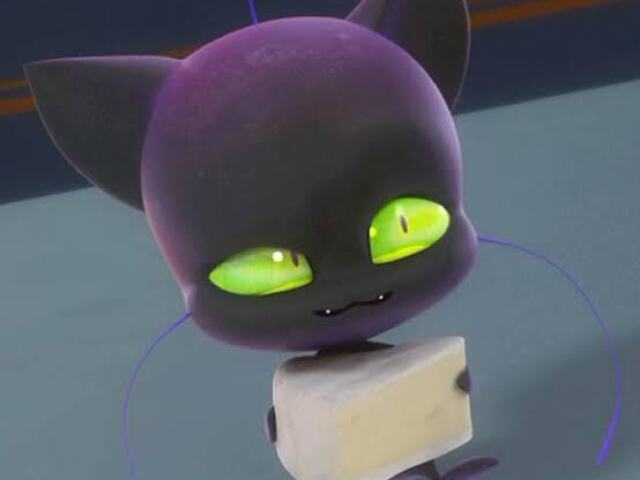 Miraculous do gato!