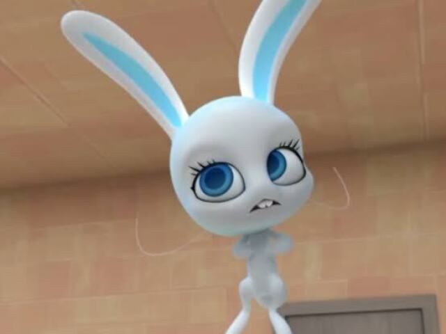Miraculous do coelho!