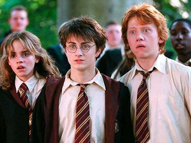 Quem você seria em Harry Potter (principais)?