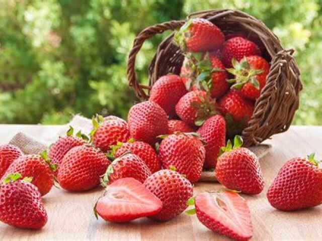 Morango