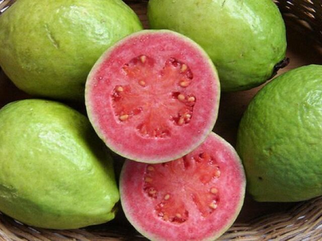 Goiaba