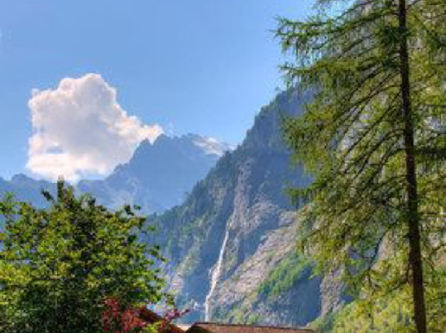 Gêmeos