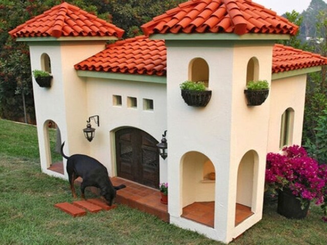 Essa é a casa dos sonhos de um cachorro! :0