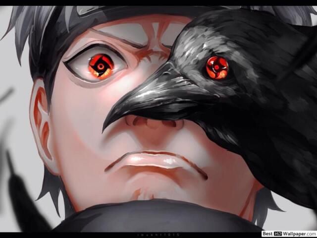 Shisui ms