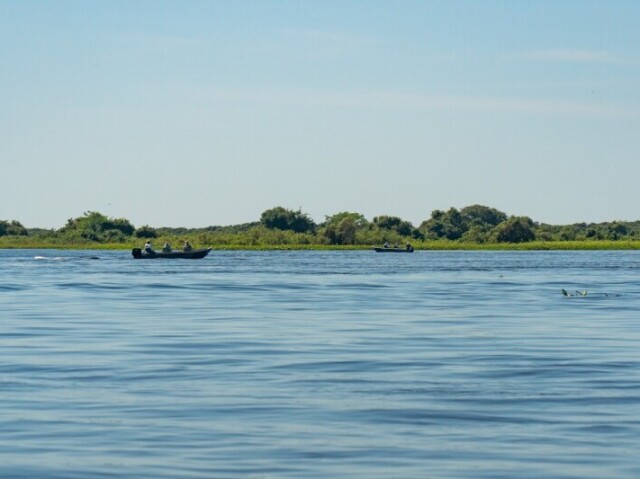 Qual animal do Pantanal você seria?