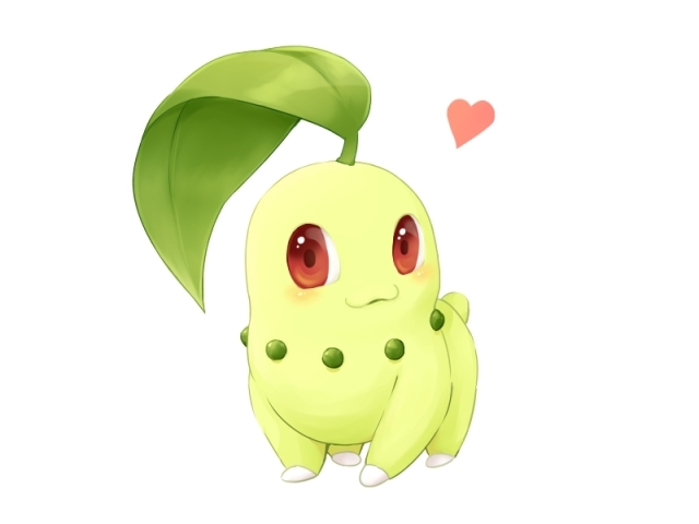 Chikorita
