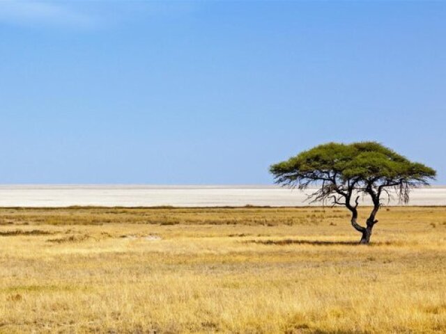 Parque Nacional Etosha, Namíbia.