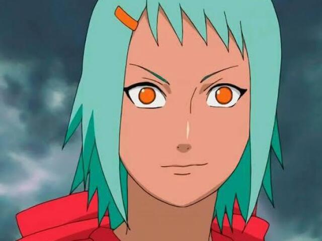 Fuu/chomei
