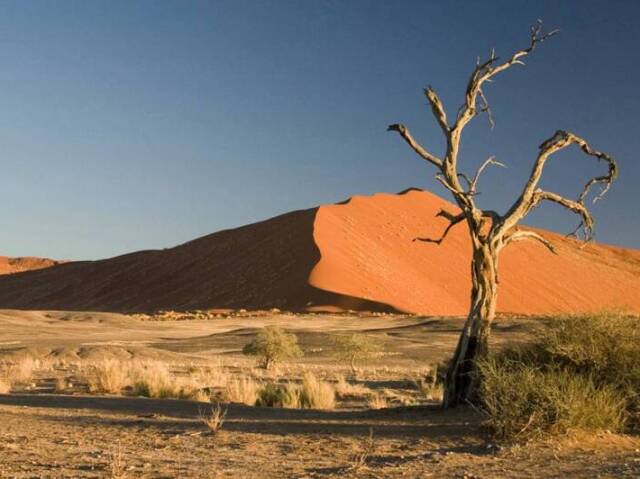 Iguarias do deserto (chips e qualquer coisa)