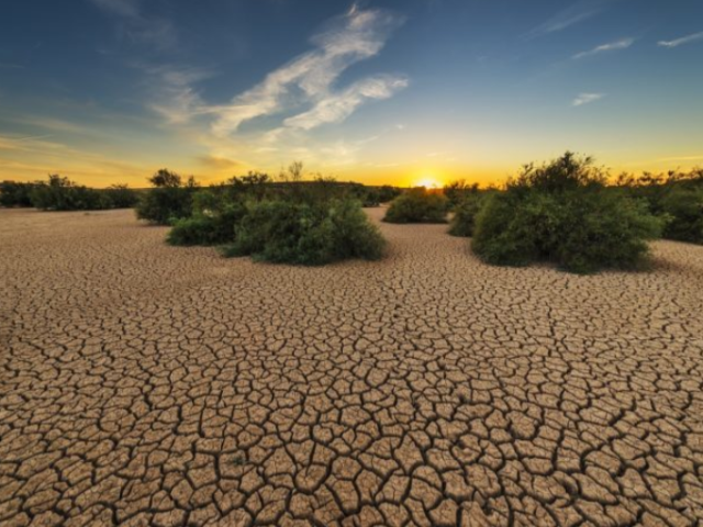 Desertificação