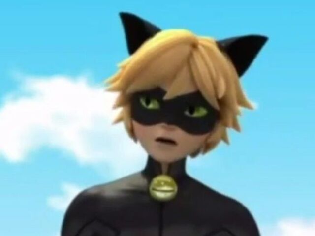 Cat noir