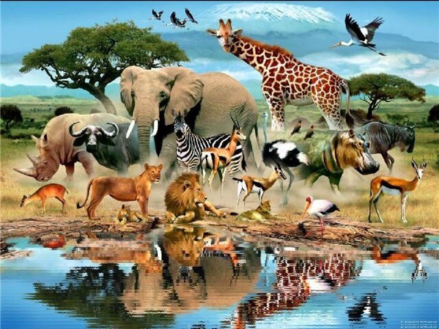 Qual animal você seria?