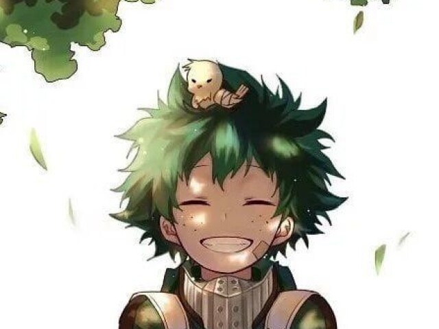 Você realmente conhece Izuku Midorya?