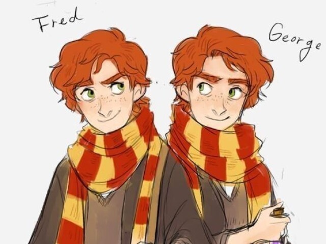 Gêmeos Weasley.