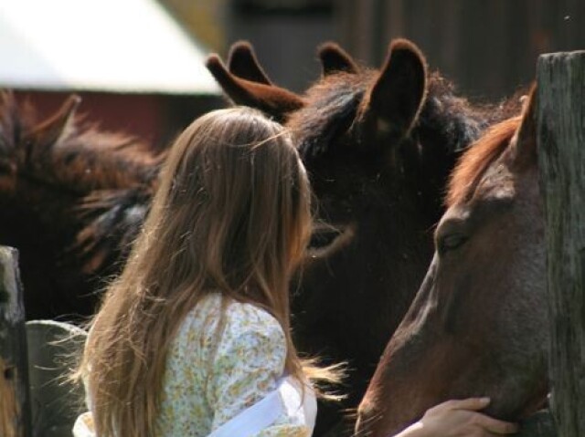 Andar a cavalo