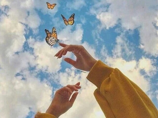 Escolha as imagens e te direi seu estilo 💛✨