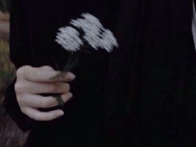Aesthetic Dark 💣