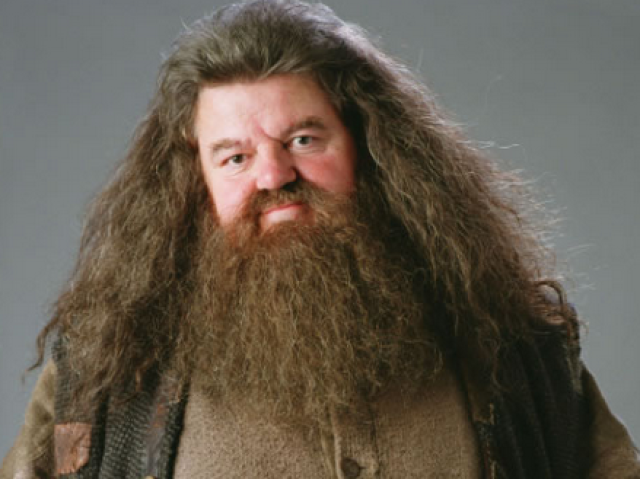 Hagrid!