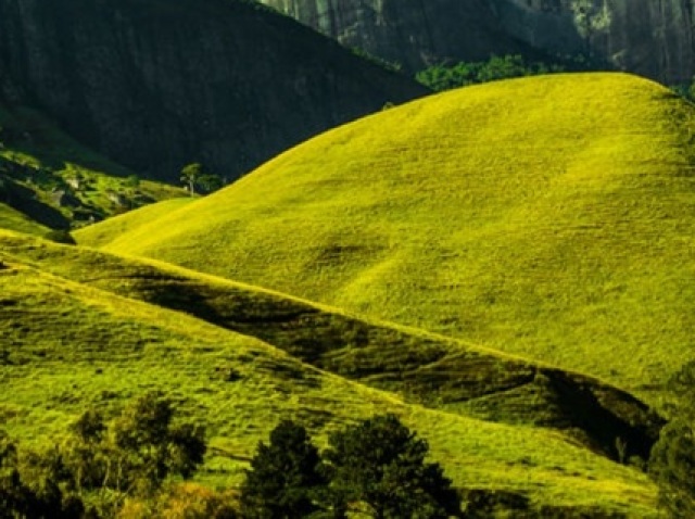 Em um campo, bem verde