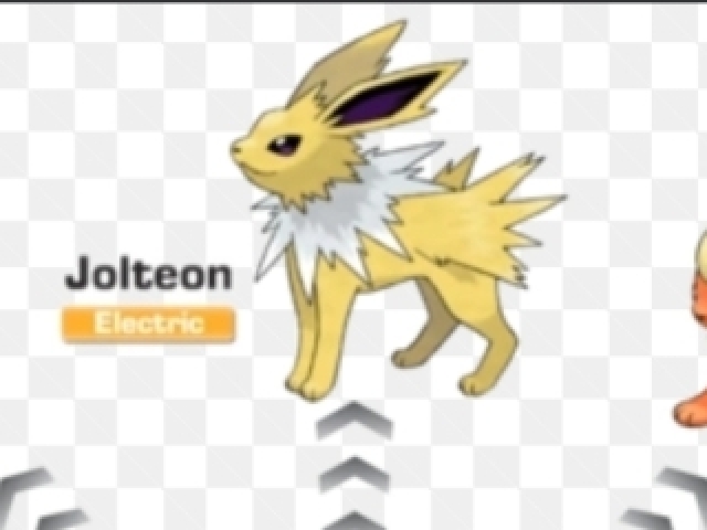 JOLTEON⚡