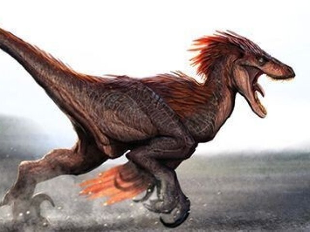 Utahraptor