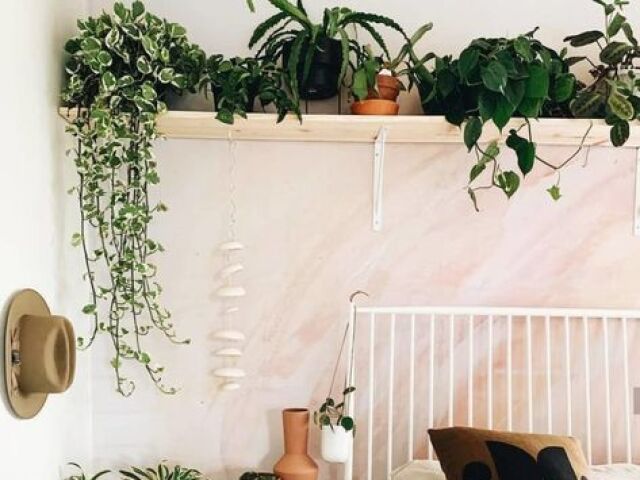 Plantas