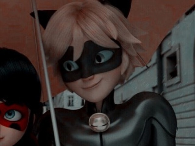 100% Cat Noir