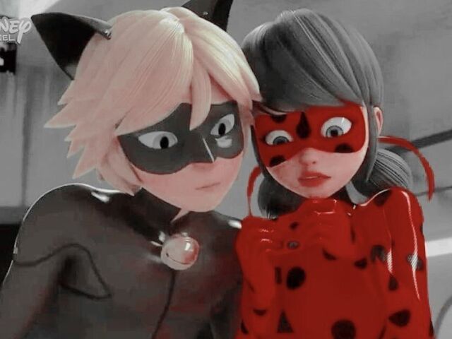 Você é 50% Ladybug e 50% Cat Noir
