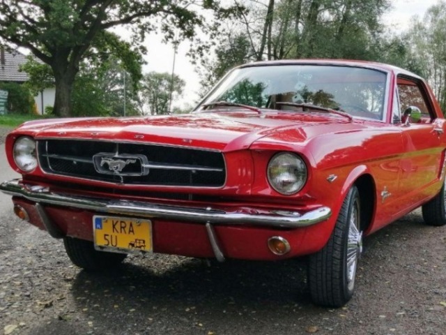 Mustang