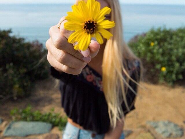 Qual flor vc seria?