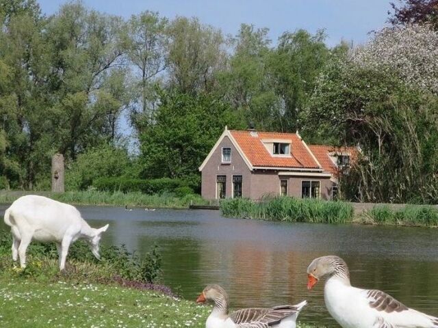 perto de um lago