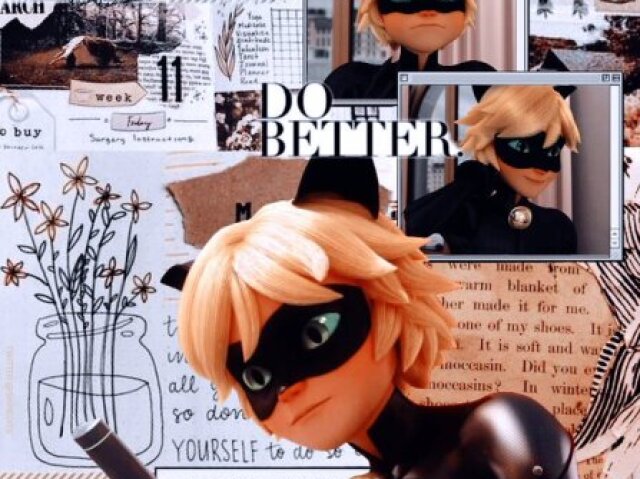 Cat noir 😻😺