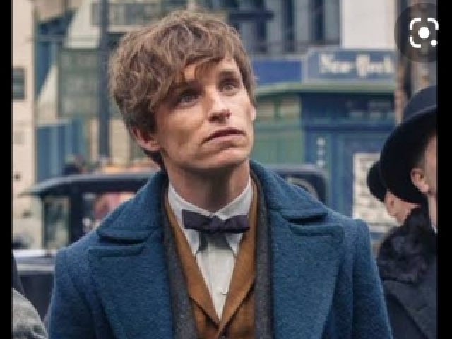 Newt Scamander