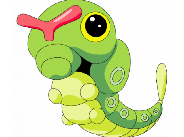 Caterpie