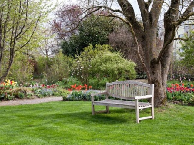 quero apenas um simples jardim