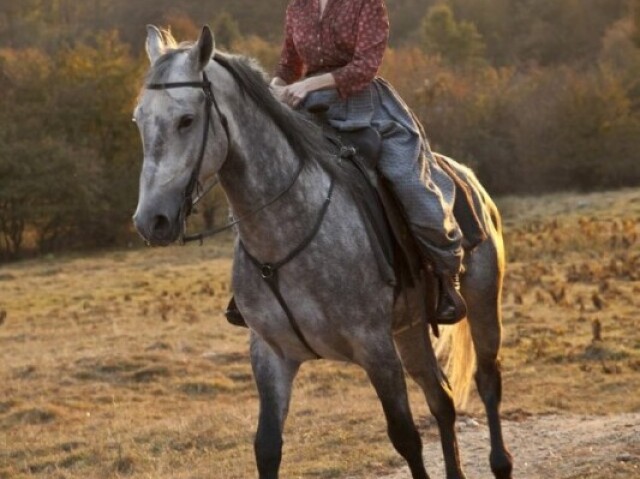 Cavalgando