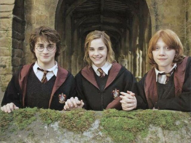 HARRY POTTER: QUAL PERSONAGEM DISSE ISSO?